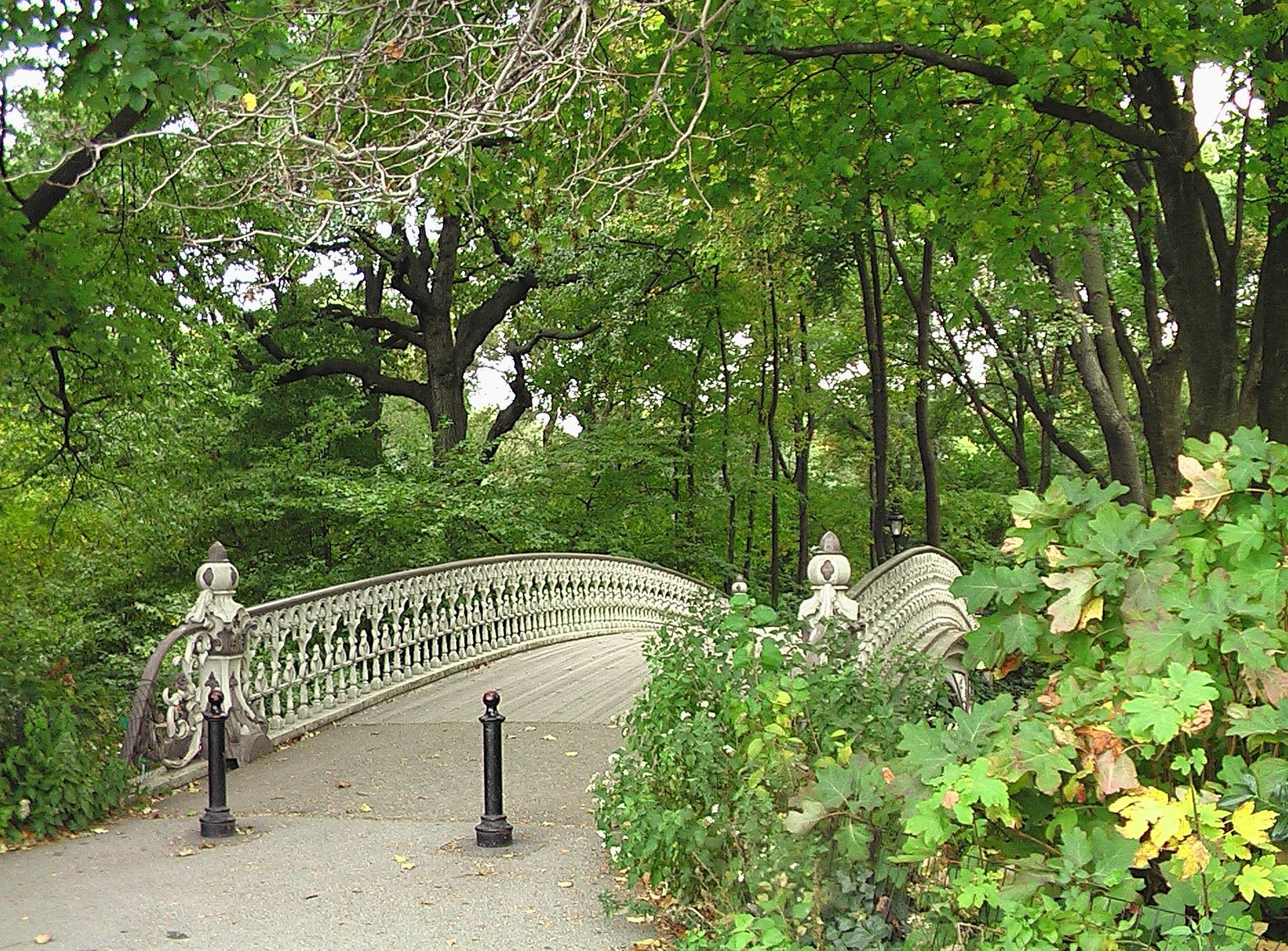 New York Bild 8